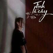 Tác giả