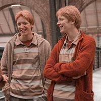 Song Sinh Nhà Weasley