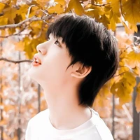 Đinh Trình Hâm