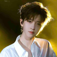 Hạ Tuấn Lâm 