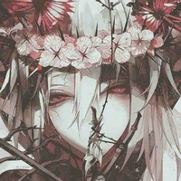 Cái bóng (Zintaku)