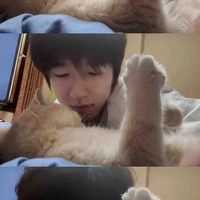 Hạ Tuấn Lâm