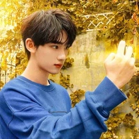 Đinh Trình Hâm🦊