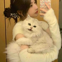 Yinzie ( hệ thống )