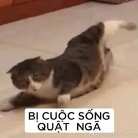 Hảu đêyy