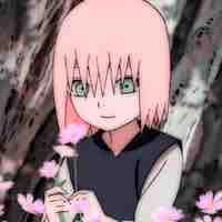 Haruno sakura
