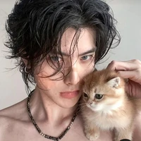 Vương Song Tử /Tử Hay khịa/