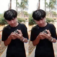 Phạm Đình Hoà