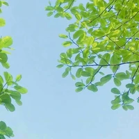 Tác Giả Thanh Minh đâyyy