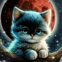 [hệ thống] Cati