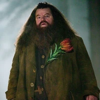 Rubeus Hagrid