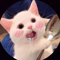 Tác giả ắk độk