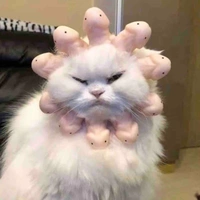 nnpii đâyy