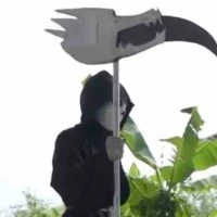Reaper Sans