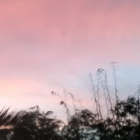 Nhóm Pé Top