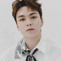 Choi Hansol ( Vernon )