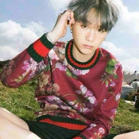 Min Yoongi ( Suga )