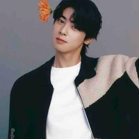 Lee Dong Min ( Cha Eun Woo )