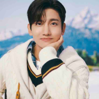 Shim Changmin ( MAX )