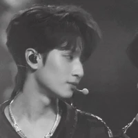 Nghiêm Hạo Tường(anh)