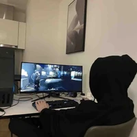 Roulin(hệ thống)