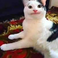 tg đzaiii