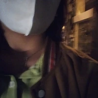 Nghiêm Minh Anh ( tác giả )