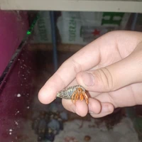 nhân vật iu thích 4 em