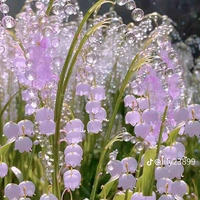 Tất cả [sát quỷ hội]