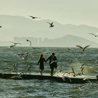 Chuyên mục couple