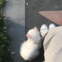 • • •
