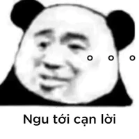 mấy tên ngu