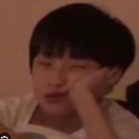 Đinh Chu Dịch