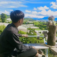 Đình Hòa