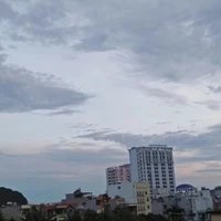 Wendy ( Tác Giả )