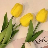 tác giả câu chuyện