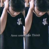 T.Thành