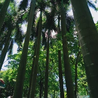 Bố mẹ các nguyên chủ
