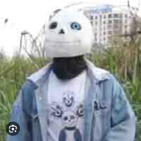 sans