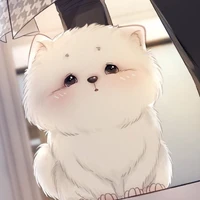 11 chú cún cute