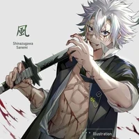 shinazugawa senemi