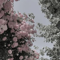 All