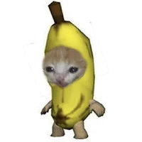 Nhìn giề :3