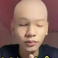 (Y/n)