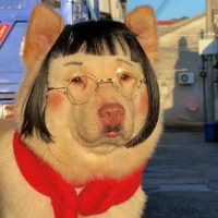 Đức Anh(lớp phó HT)