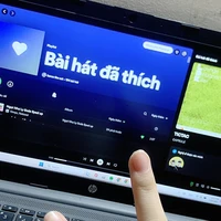 Cây cối