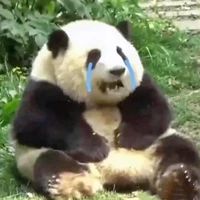 Tác giả