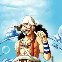 USopp