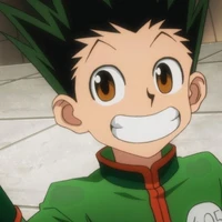 Gon Freecss