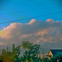 All nhân vật